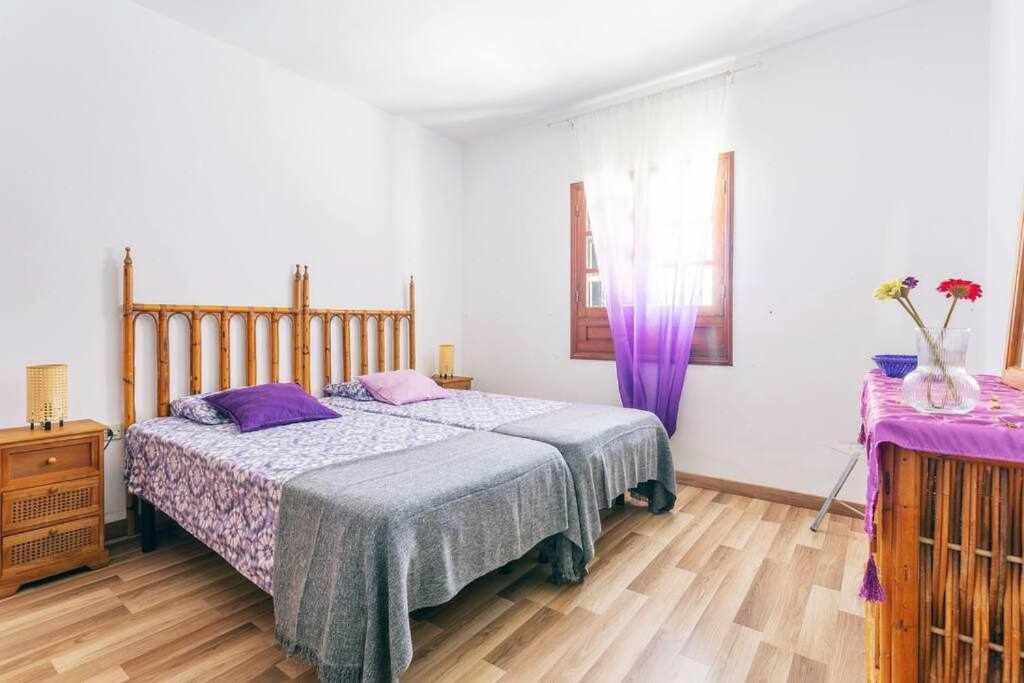 Summer Dreams Beach House بلايا هوندا المظهر الخارجي الصورة
